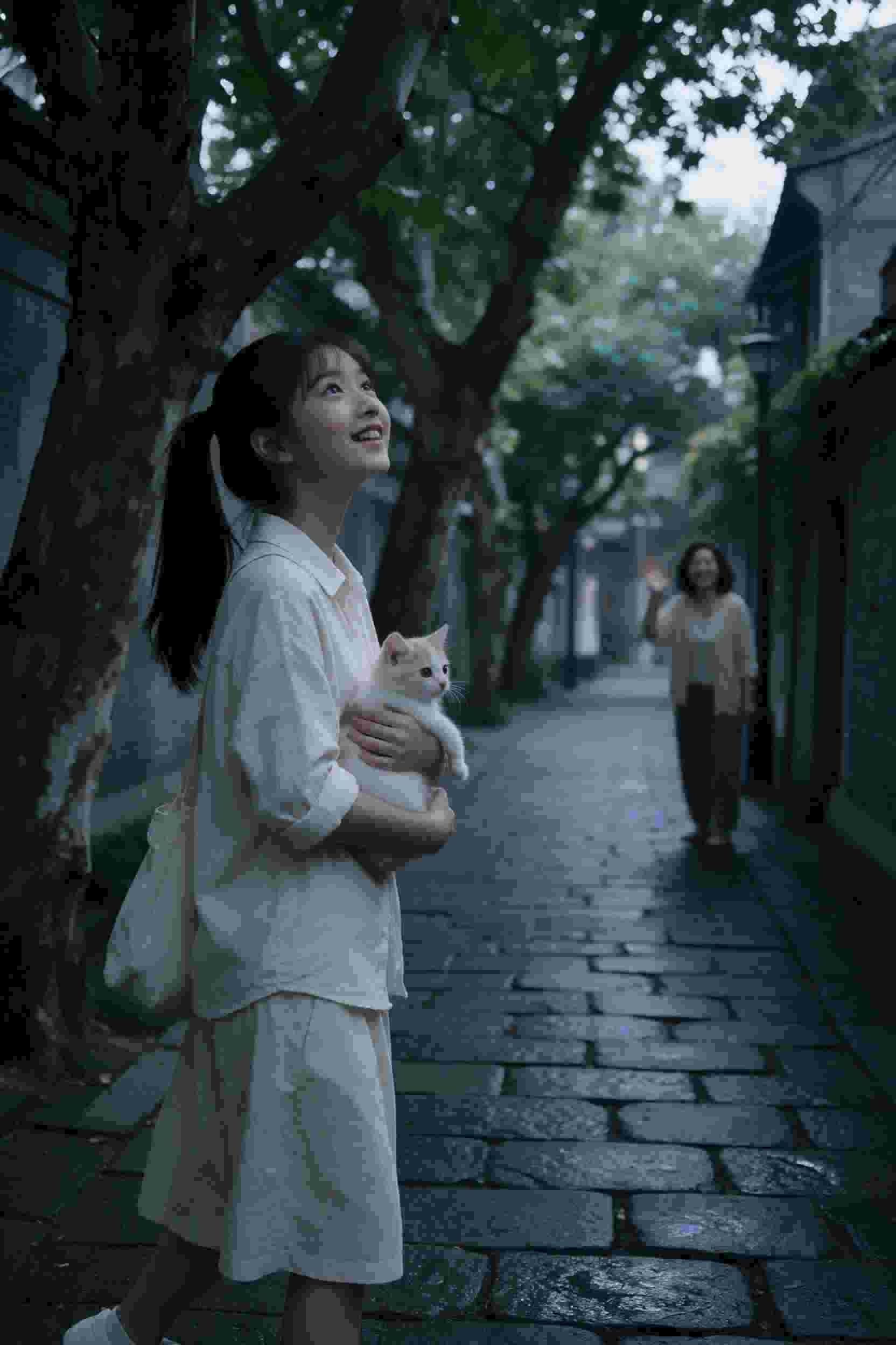 七神的烦恼